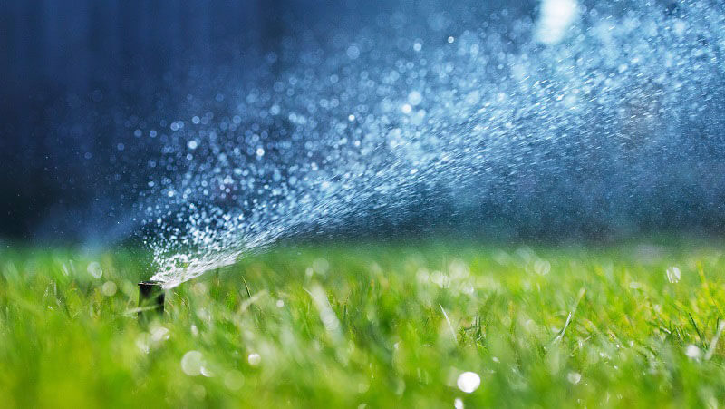 Image of a sprinkler.