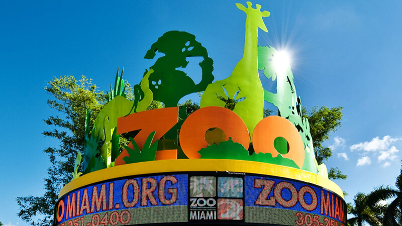 Zoo Miami voted as one of the 10 best zoos in the US - Best Places To Visit In Miami