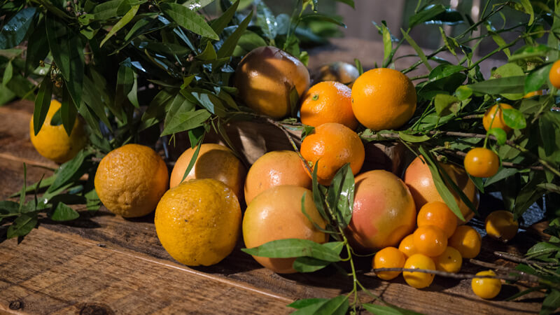 Oranges with branches on table.