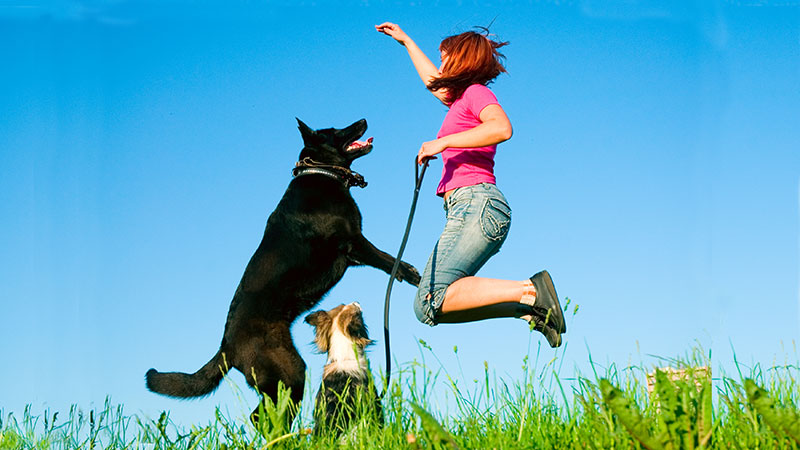Woman leaping up with her dogs