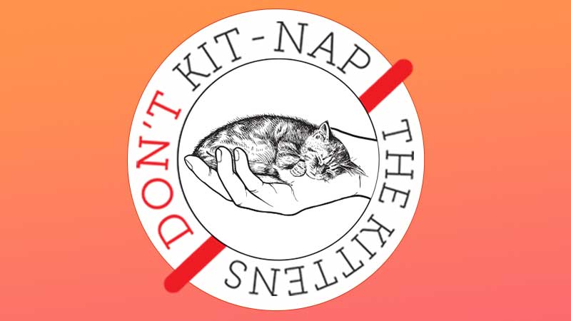 Don't kit nap the kittens logo