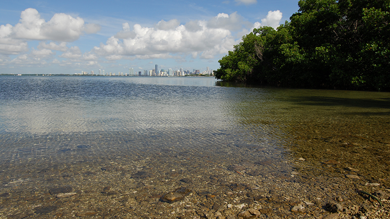 A beach that looks over Miami skyline